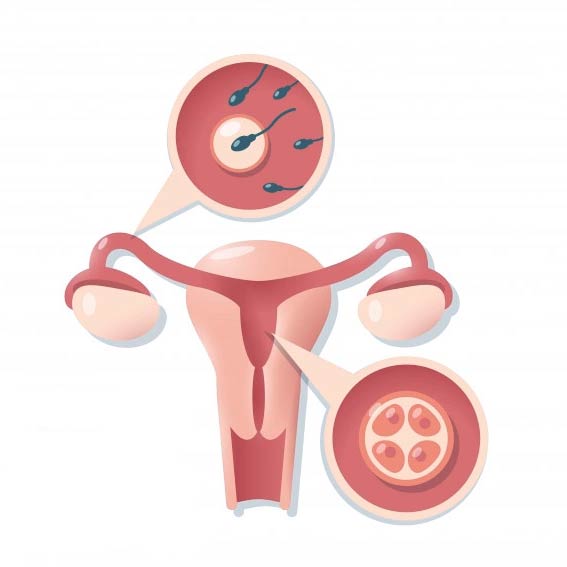 natural cure for uterus problem